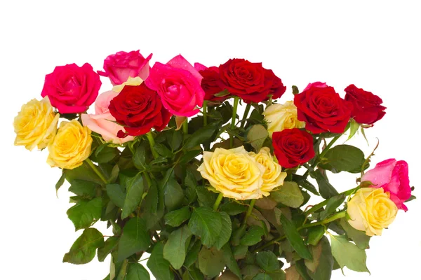 Bunch  of fresh multicolored  roses — Stock Photo, Image
