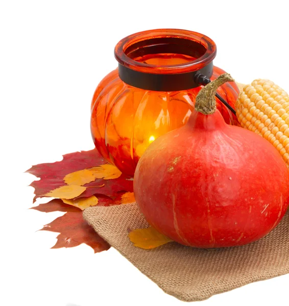 Pumpkins on table — Stock Photo, Image