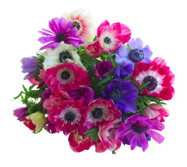 bouquet of anemone flowers clipart