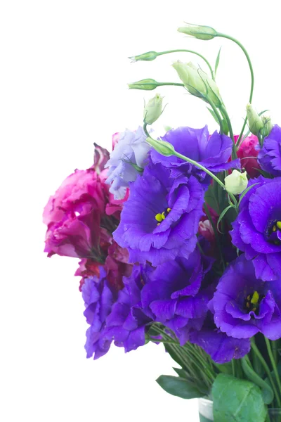 Bouquet aus violetten und mauvefarbenen Eustoma-Blüten — Stockfoto