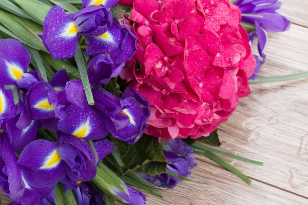 Hortensia och iris blommor bakgrund — Stockfoto