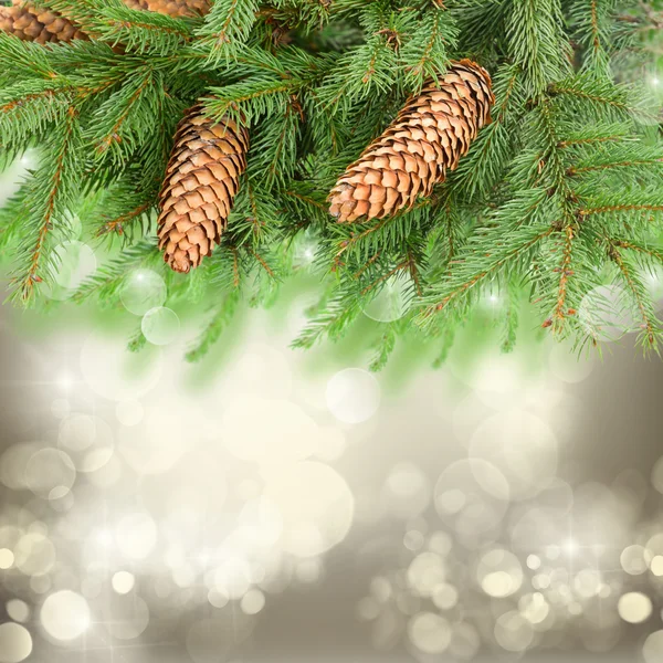 Árbol de Navidad y conos de pino — Foto de Stock