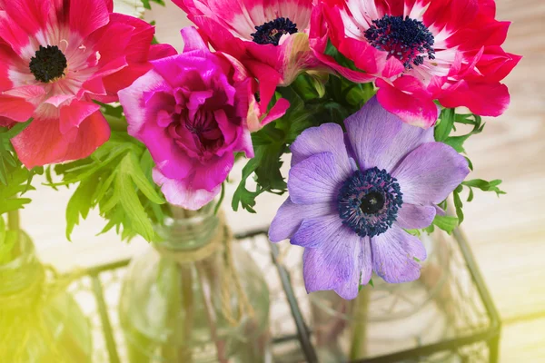 Anemone virágok — Stock Fotó