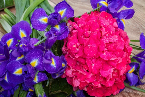 Hortensia a iris květiny pozadí — Stock fotografie