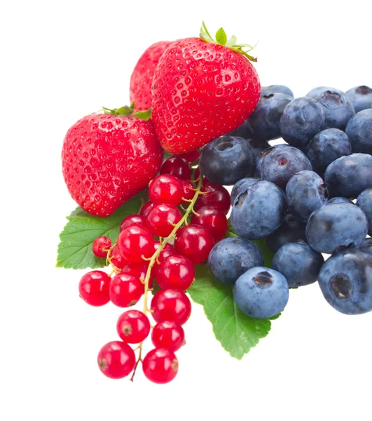 Blueberry, red currant and strawberry — Stock Photo, Image