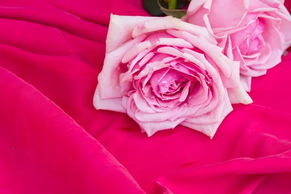 Roze rozen op tafel — Stockfoto