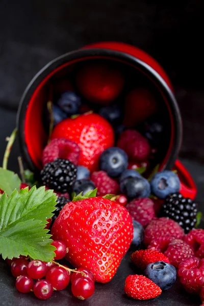 Set of  fresh berries — Stock Photo, Image