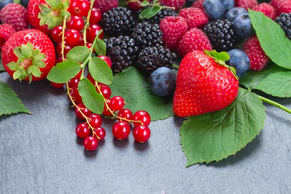 Fresh berries — Stock Photo, Image