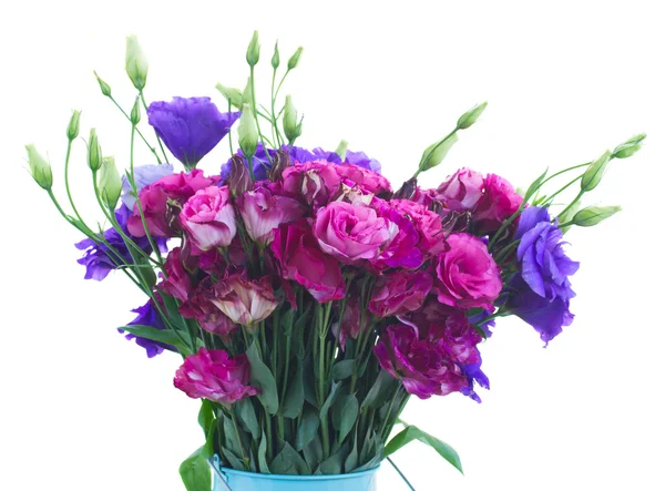 Bos van violet en mauve eustoma bloemen — Stockfoto