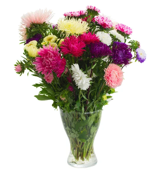 Aster flowers — Stock Photo, Image