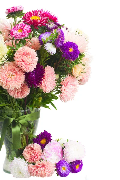 Mix of aster flowers — Stock Photo, Image