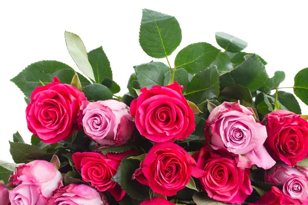 Rand met roze bloemen — Stockfoto