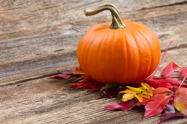 Pumpkin on table — Stock Photo, Image