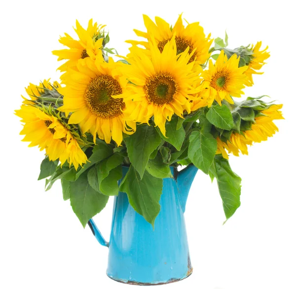 Bouquet of bright sunflowers — Stock Photo, Image