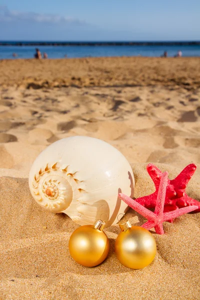 Skal och juldekorationer på stranden — Stockfoto