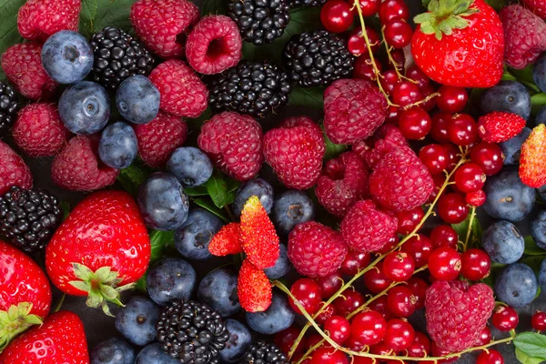 Ripe of  fresh berries — Stock Photo, Image