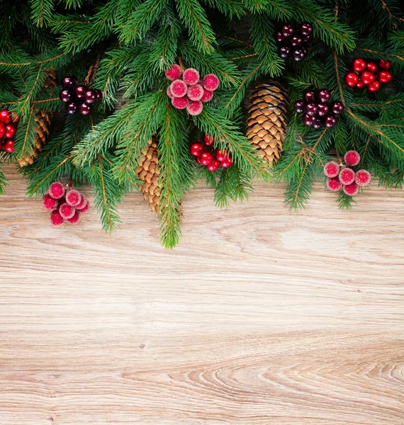 Tannenbaum-Grenze — Stockfoto