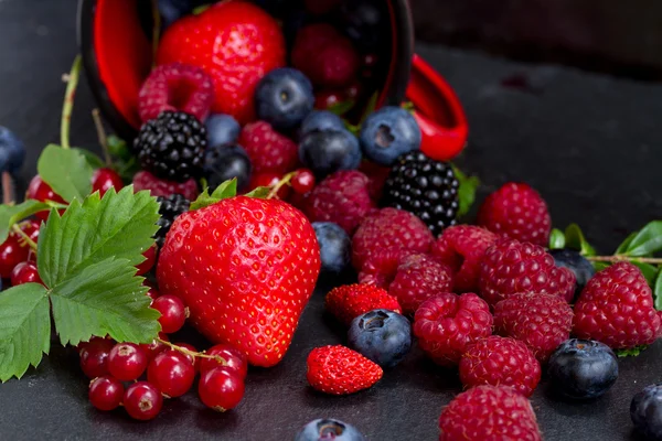 Set of  fresh berries — Stock Photo, Image