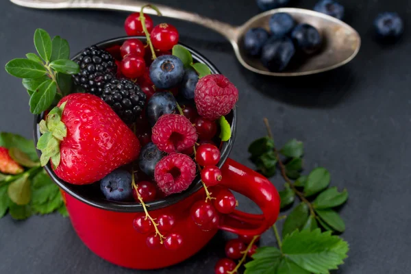 Набор свежих ягод — стоковое фото
