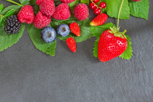 Border of fresh berries — Stock Photo, Image