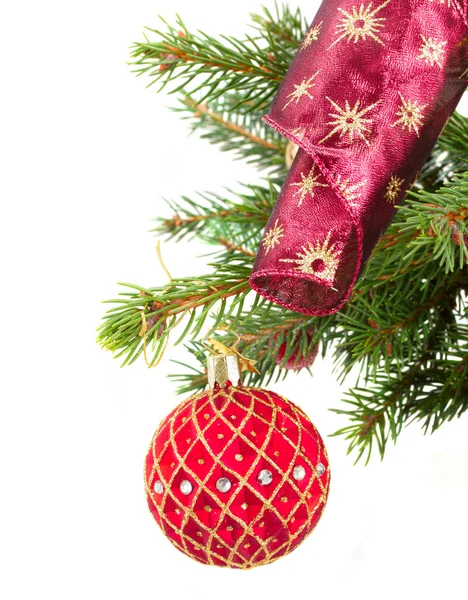 Red  christmas ball decorations   on fir tree — Stock Photo, Image