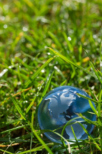 Globe de verre dans l'herbe — Photo