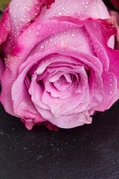 Rosas rojas y rosas sobre la mesa — Foto de Stock