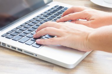 Eller dizüstü bilgisayarda.