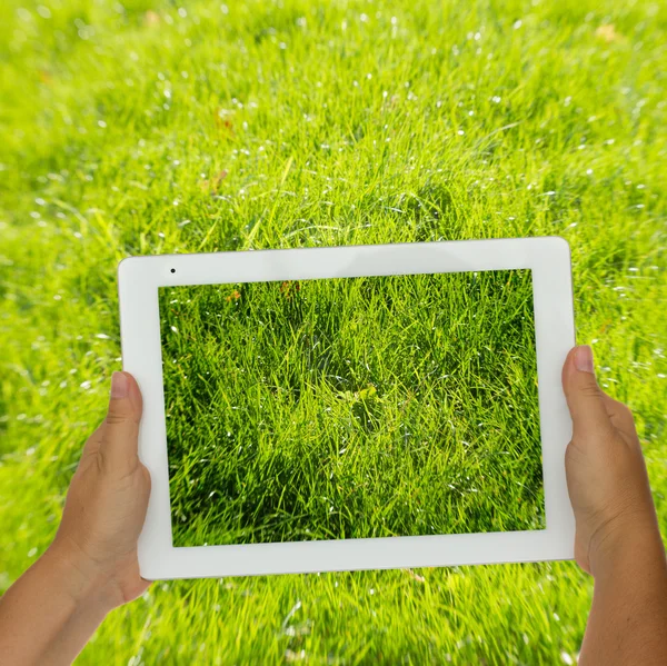 Holding tablet against spring green background — Stock Photo, Image