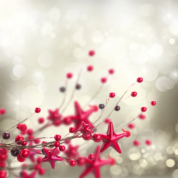 クリスマスの星と果実の枝 — ストック写真