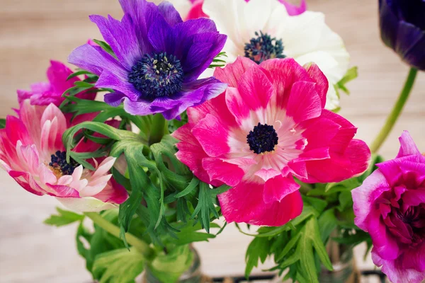 Flores de anêmona — Fotografia de Stock