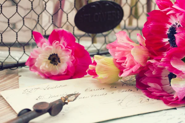 Flores de anêmona rosa com caneta de pena dourada retro velho — Fotografia de Stock