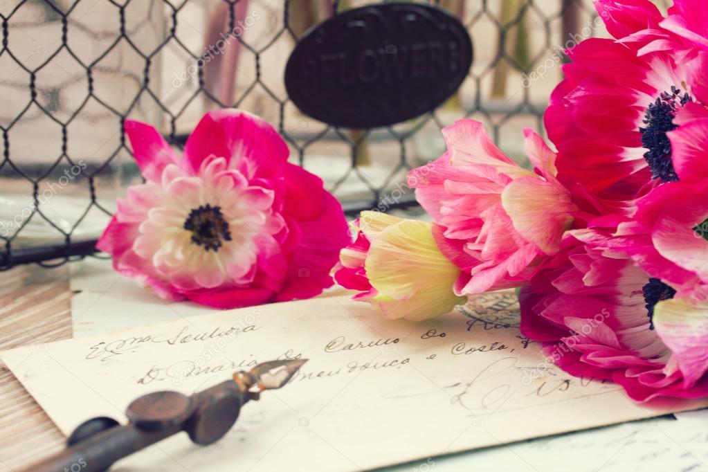 pink anemone flowers  with old retro golden quill pen