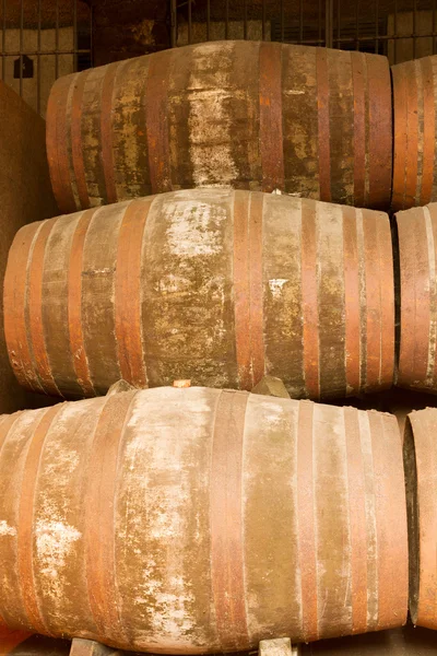 Port wine barrels — Stock Photo, Image