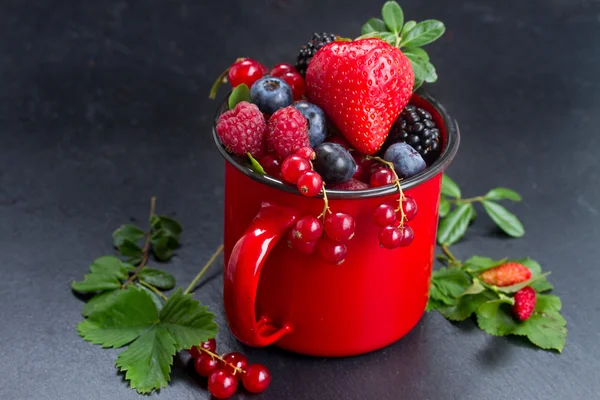 Set of  fresh berries — Stock Photo, Image