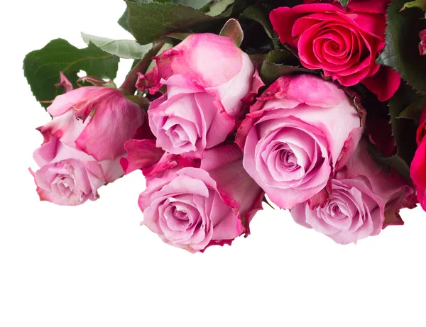 Rand met roze bloemen — Stockfoto