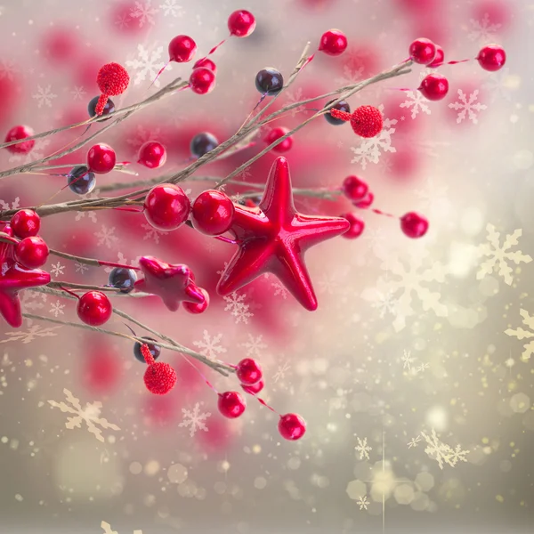 Branch of christmas stars and berries — Stock Photo, Image