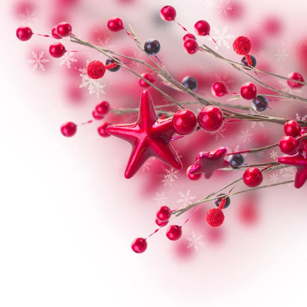 圣诞星和浆果的分支 — 图库照片