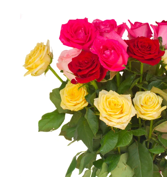 Bouquet of fresh multicolored  roses — Stock Photo, Image