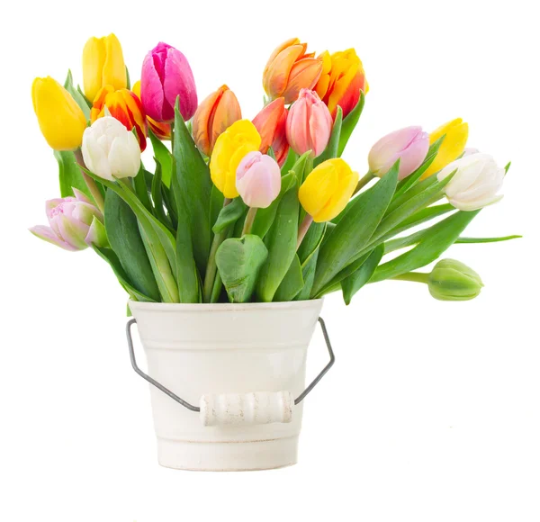 Bouquet of multicolored   tulip flowers in white pot — Stock Photo, Image