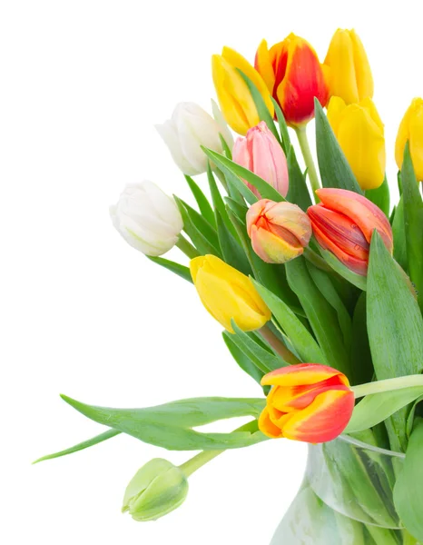 Buquê de flores de tulipa multicoloridas em vaso branco — Fotografia de Stock