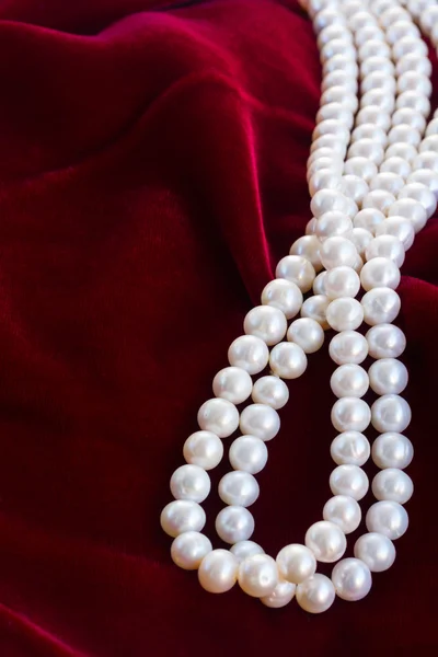 真珠と赤いベルベットの背景 — ストック写真