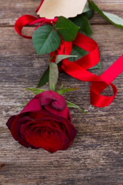 bir kırmızı kırmızı gül