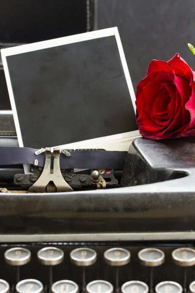 Rosa roja en la máquina de escribir — Foto de Stock