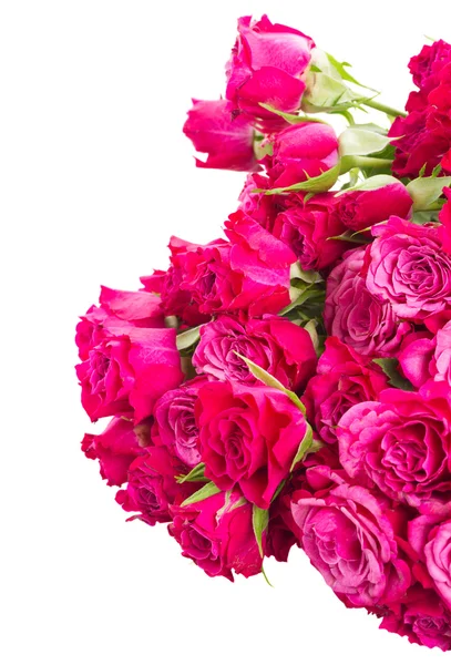 Stos świeże fioletowe róże — Zdjęcie stockowe