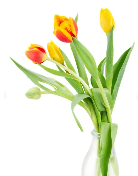 Buquê de flores de tulipa multicoloridas em vaso branco — Fotografia de Stock