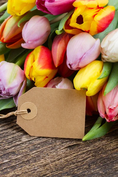 Hromadu Pestrobarevné tulipány — Stock fotografie