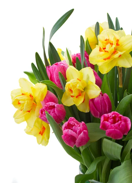 Banda tulipány a narcisy v váza — Stock fotografie