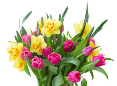 demet Lale ve Nergis aranjman