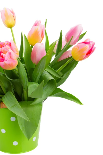 Kytice růžových a žlutých Tulipán — Stock fotografie